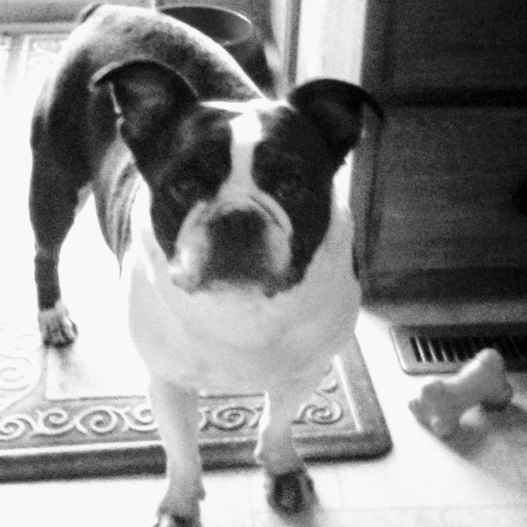 Meet your Posher, Justin - Picture 2 of 6